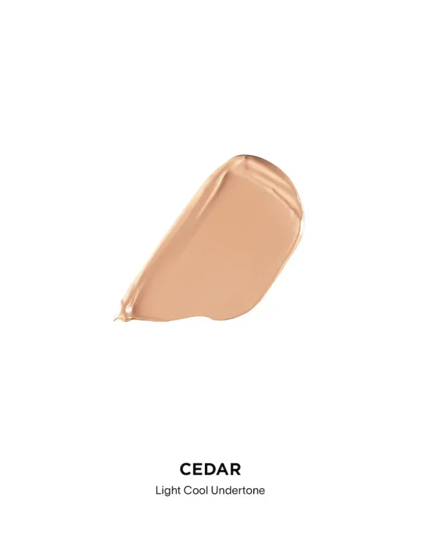 Vanish™ Airbrush Concealer - Image 114